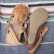 画像6: FromU.S.A　real leather sandal（camel） (6)