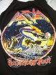 画像3: 80's「AZIA」ラグランTシャツ (ブラックxサックス） (3)